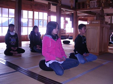 QPN(2009)P